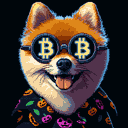 BTC Shades pomeranian