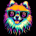 BTC Shades pomeranian