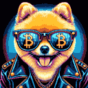 BTC Shades pomeranian