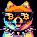 BTC Shades pomeranian