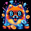 BTC Shades pomeranian