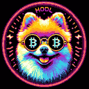 BTC Shades pomeranian