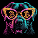 BTC Shades portuguese water dog