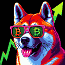 BTC Shades akita