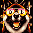 BTC Shades akita