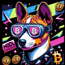 BTC Shades basenji