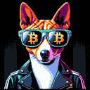 BTC Shades basenji