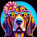 BTC Shades basset hound