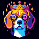 BTC Shades beagle