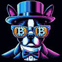 BTC Shades boston terrier