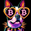 BTC Shades boston terrier