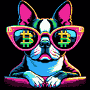 BTC Shades boston terrier