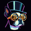 BTC Shades boston terrier