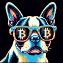 BTC Shades boston terrier