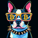 BTC Shades boston terrier