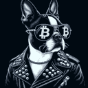 BTC Shades boston terrier