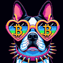 BTC Shades boston terrier