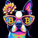 BTC Shades boston terrier