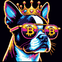 BTC Shades boston terrier