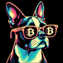 BTC Shades boston terrier