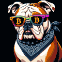 BTC Shades bulldog