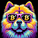 BTC Shades chow chow