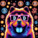 BTC Shades chow chow