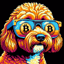 BTC Shades cockapoo