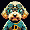 BTC Shades cockapoo