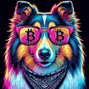 BTC Shades collie