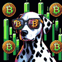 BTC Shades dalmatian