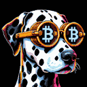 BTC Shades dalmatian