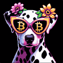 BTC Shades dalmatian