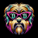 BTC Shades havanese