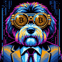 BTC Shades havanese