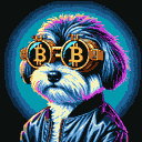 BTC Shades havanese