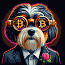 BTC Shades havanese