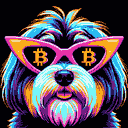 BTC Shades havanese