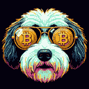 BTC Shades havanese