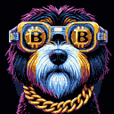 BTC Shades havanese