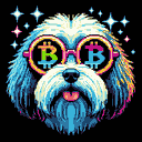 BTC Shades havanese