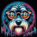 BTC Shades havanese