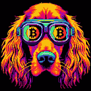 BTC Shades irish setter