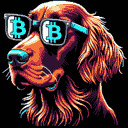 BTC Shades irish setter