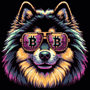 BTC Shades keeshond