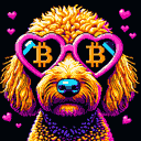 BTC Shades labradoodle