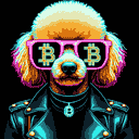 BTC Shades poodle