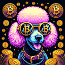 BTC Shades poodle