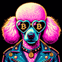 BTC Shades poodle