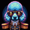 BTC Shades poodle